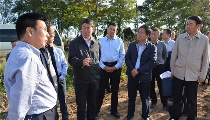 长沙空港城最新消息,长沙空港城建设动态速递。