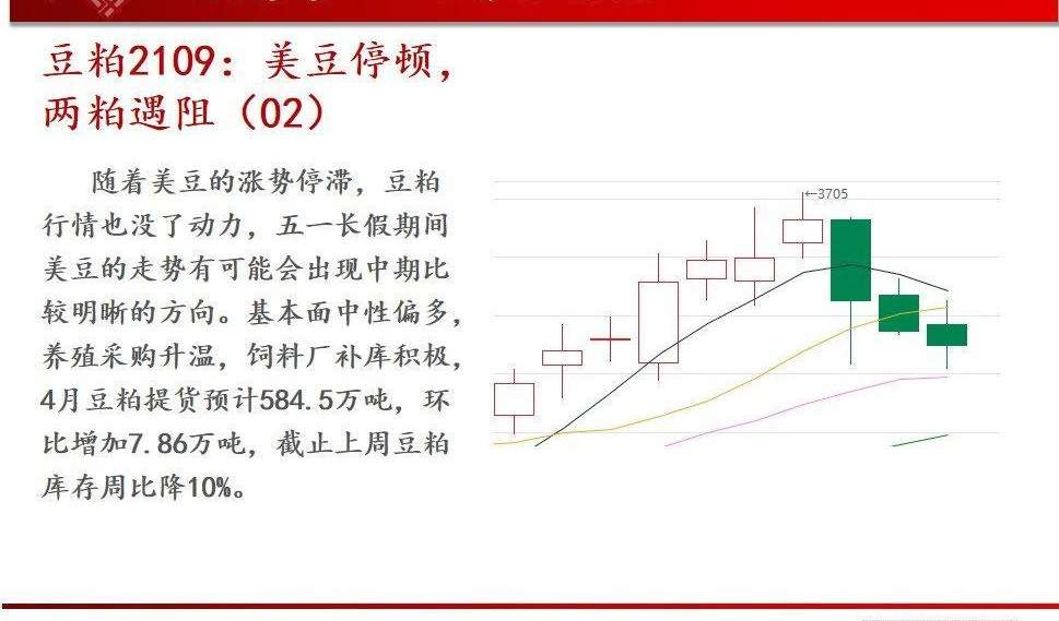 今日豆粕最新价格,追踪今日豆粕最新动态，市场行情实时更新！