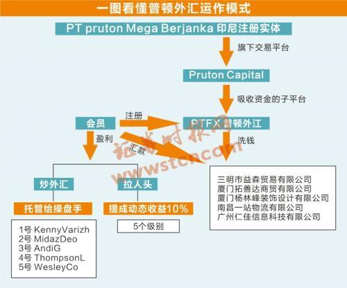 雾隐青山远_2 第4页