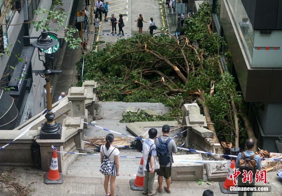 香港台风最新预报,香港最新台风预警信息出炉。