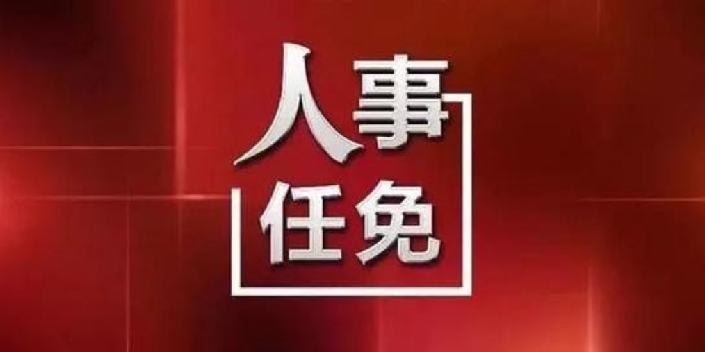 宜春市最新人事任免,宜春市政府人事调整动态速递。