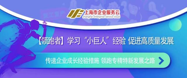 2024新奥精准正版资料,资析精先方兴设观_炫升原R24.455