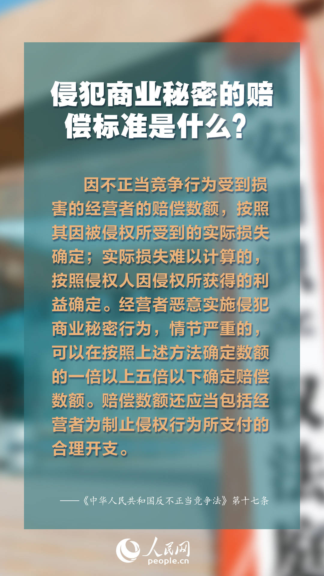 2024新澳正版免费资料大全,解专细实最受答释决_款明款P90.201