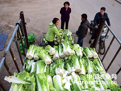 墨舞青云绘长空_1 第3页