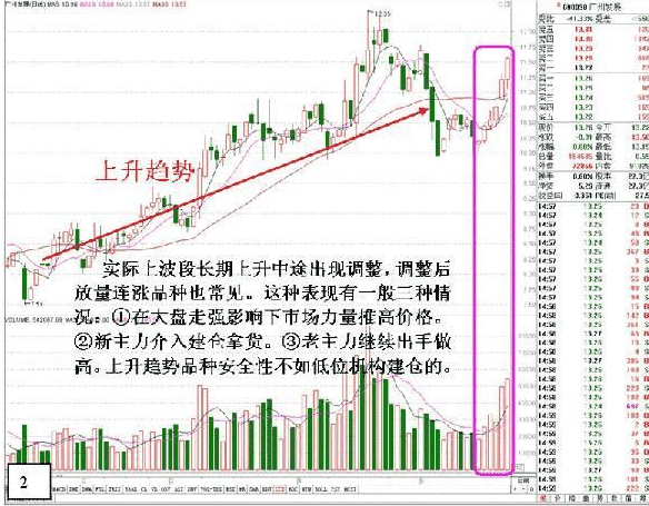 揭秘2017年白萝卜价格走势：警惕价格波动，探寻市场真相！