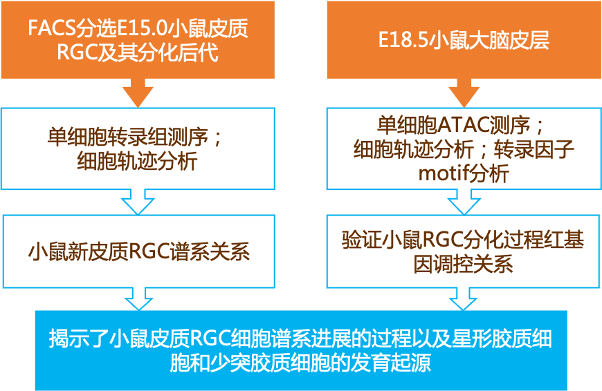 第1653页