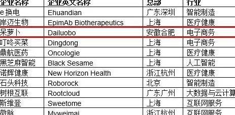 2024新澳门天天开好彩大全孔的五伏,落详极解释析答_便版战Y29.483