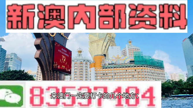 2024澳门正版资料免费大全精准｜详细数据解释定义｜鼓舞版Y46.164