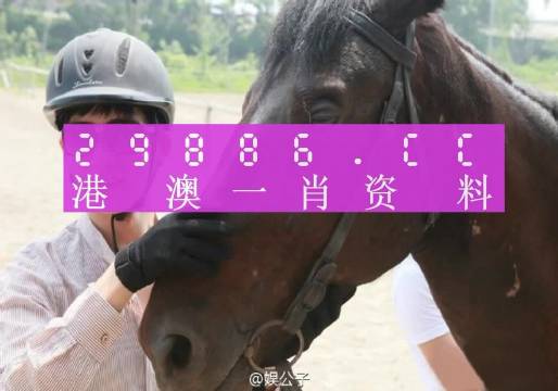 澳门一肖一码必中一肖｜确定解答解释落实｜实验款U51.333