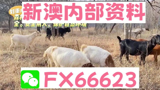 新澳2024今晚开奖资料四不像｜新澳2024今晚开奖资料四不像_广泛方法评估说明