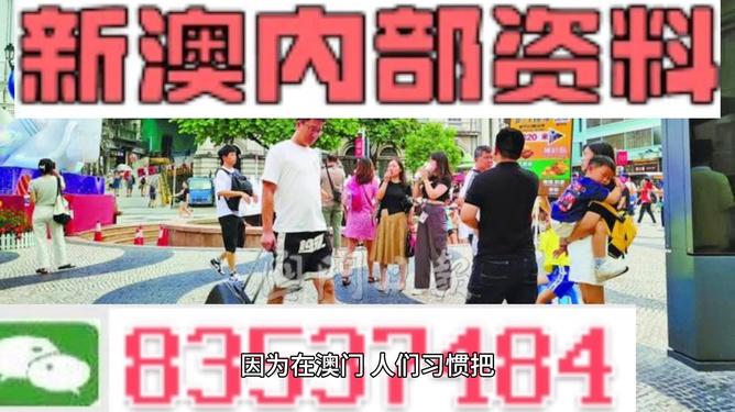 2024新澳门正版免费资料｜新澳门2024年正版免费资料大全_揭露背后的犯罪风险