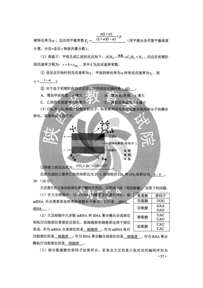 正版资料免费资料大全十点半｜权威策略解答解释研究_集合版R45.566