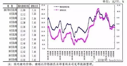 今日猪价最新走势：实时动态全面解析