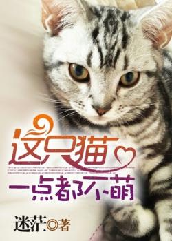 君子猫最新小说｜君子猫最新篇章