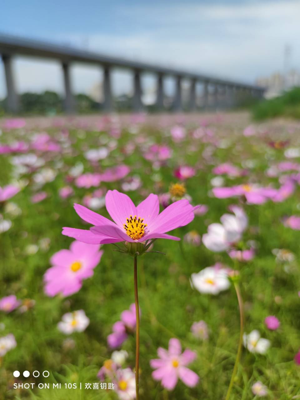 炎炎夏日，伏天氏全新篇章绽放光彩