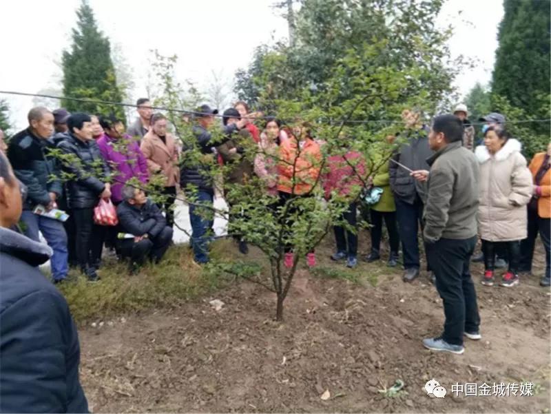 “花椒近期行情价览”